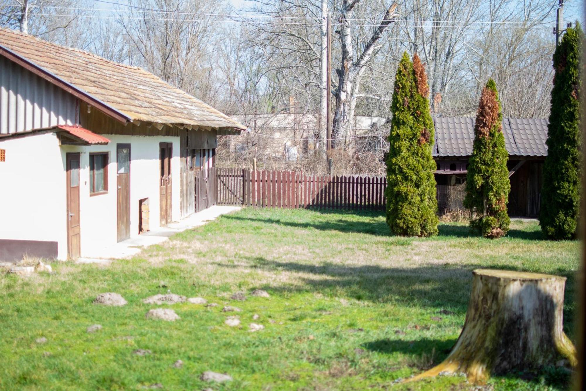 Villa Flora Kiskunmajsa Luaran gambar