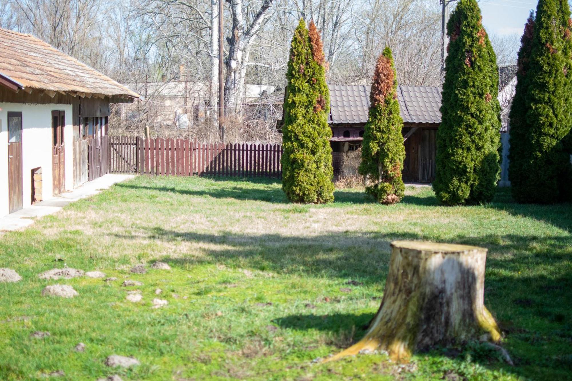 Villa Flora Kiskunmajsa Luaran gambar